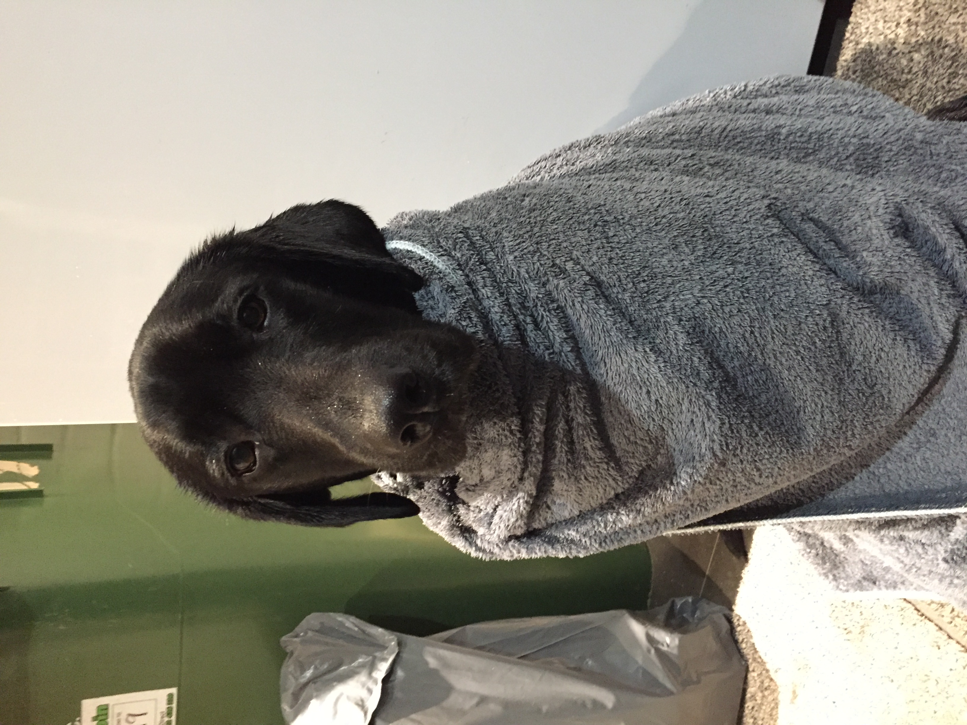 Jack wrapped in a fluffy grey dressing gown after his bath