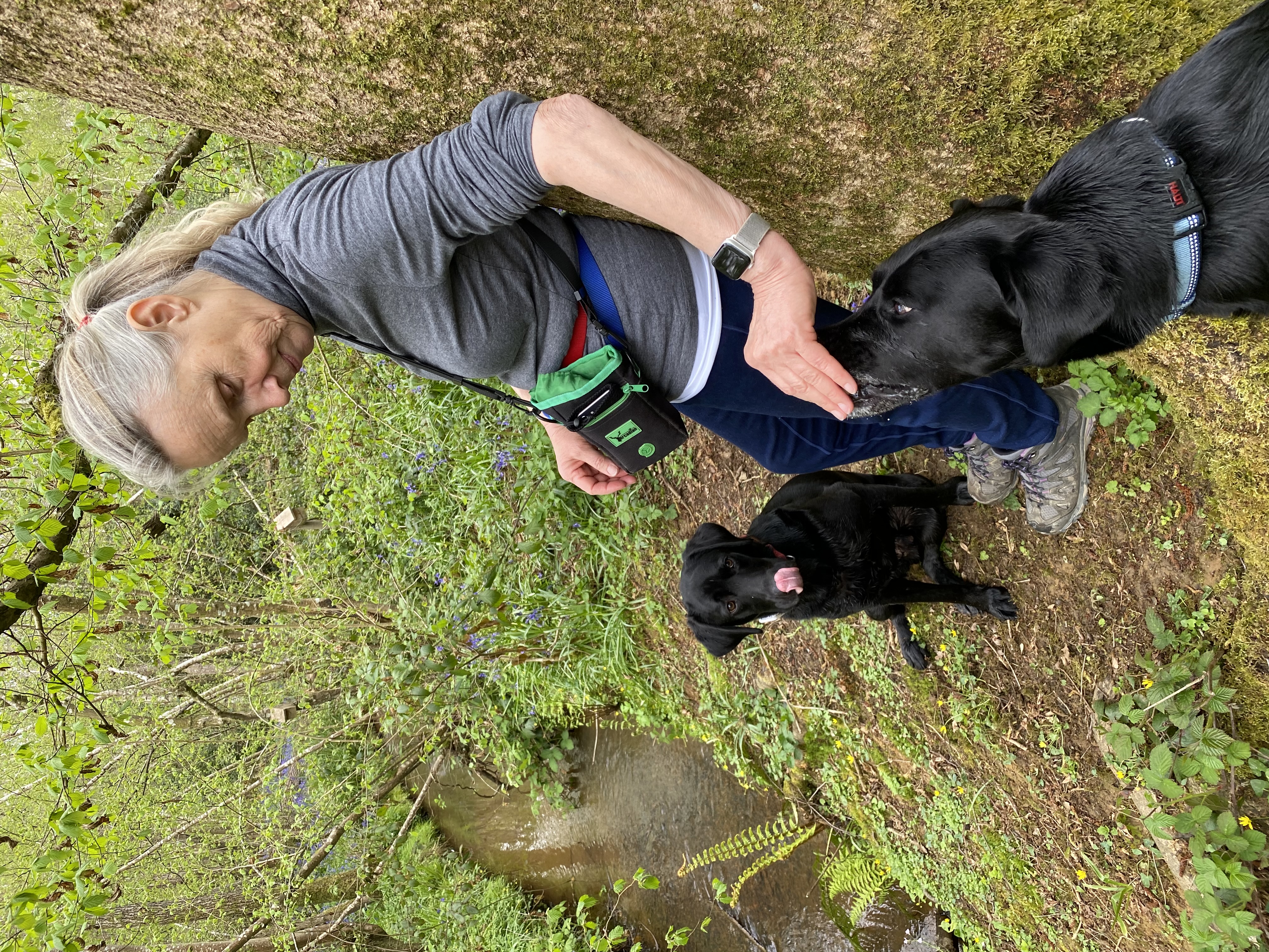 Bertie and Jack getting a treat from their owner on a forest walk